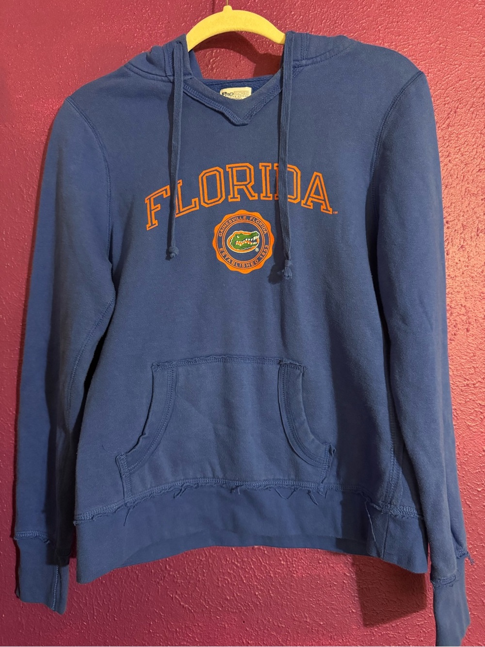 University of Florida Blue Pullover Hoodie